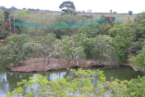 Visit Ghana - Legon Botanical Gardens