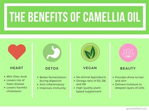 Camellia Oil: Healthier Than Your Average Cooking Oil | Camellia oil, Oils, Cancer prevention