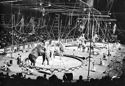 Ringling Brothers | Biographies, Circus, & Facts | Britannica