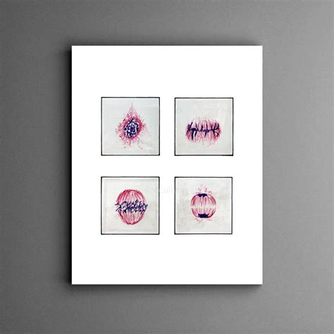 Cell Cycle, Biology, Biology Art, Science, Science Art, Mitosis, Watercolor, Biology Art ...