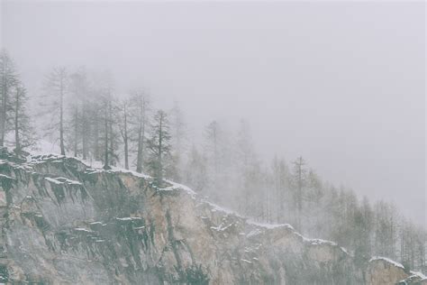 Snowfall In Kashmir: Exploring The Snowy Delights In 2024