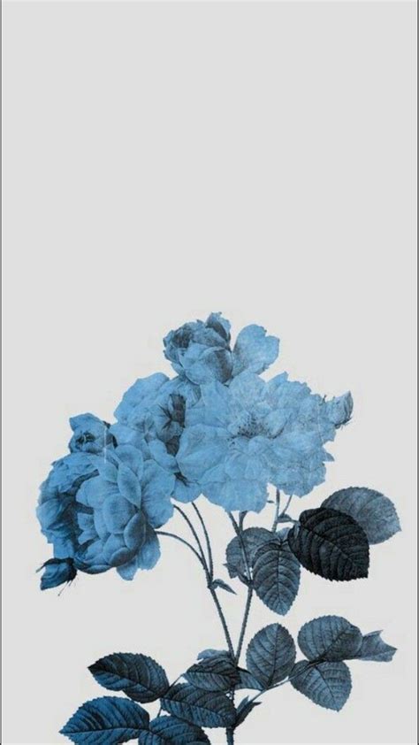 Aesthetic Blue Flower Wallpaper Desktop