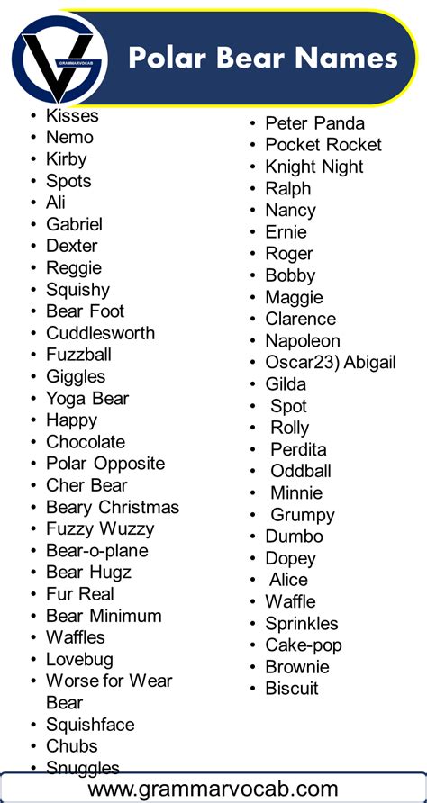 Polar Bear Names - GrammarVocab