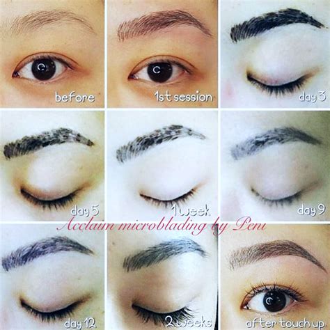 Eyebrow Healing Process Arlington | Microblading TX