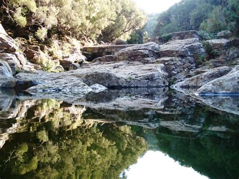 Levada do Alecrim - Madeira levada walks