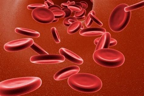 Get Causas De Anemia Hemolitica Microangiopatica US - ANYTHING ID