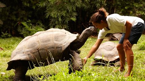 Wildlife-spotting at Fregate Island Private, in the Seychelles | CN Traveller