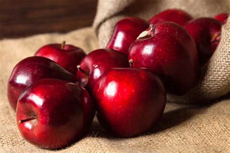 All About Red Delicious Apples - Minneopa Orchards