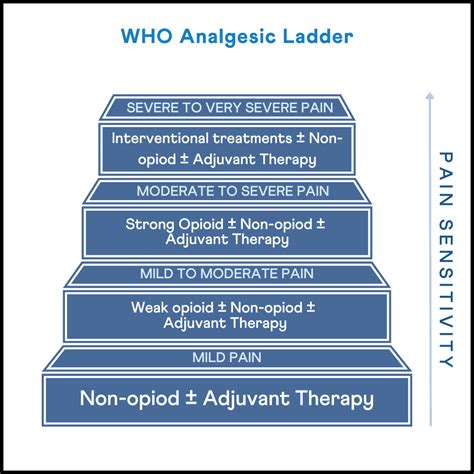 How Genes Influence The Breakdown Of Analgesics - Xcode Life