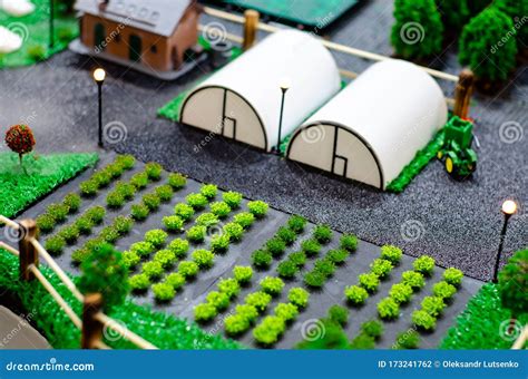 Layout of a Farm with Greenhouses and a Vegetable Garden Stock Photo ...