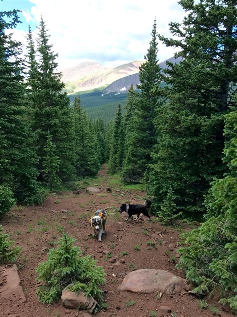 Going up to the Ridge of Ridge Trail | Canyon Journeys