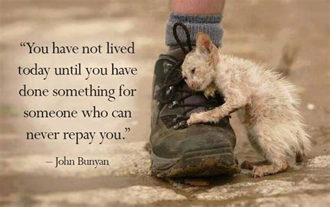 Inspirational Quotes About Animal Rescue. QuotesGram