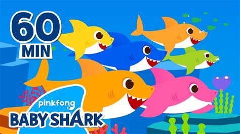 Baby Shark Doo Doo Doo 1 hour | +Compilation | Songs for Kids | Baby Shark Official - YouTube