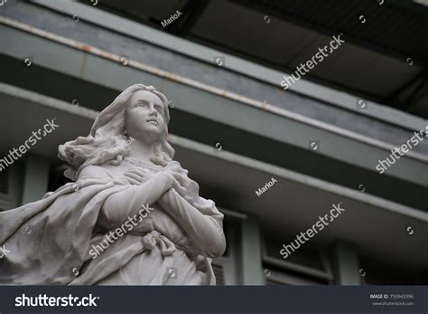 Assumption Virgin Mary Statue Stock Photo 750943396 | Shutterstock