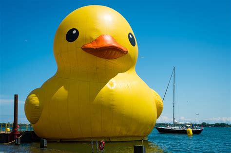 What the world's biggest rubber duck looks like up close