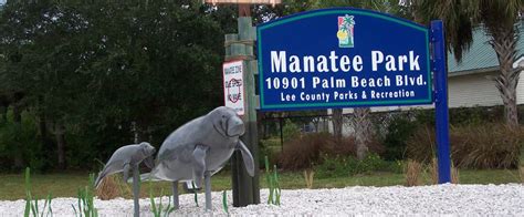 The Lee County Manatee Park is the Best Place to See Manatees in Florida