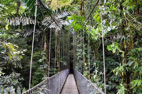 Exploring The Arenal Hanging Bridges - Explore Shaw