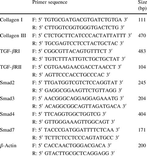 Primer sequence used in this study | Download Table