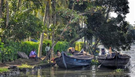 The 15 Best Places to Stay in the Kerala Backwaters, India | The Hotel Guru