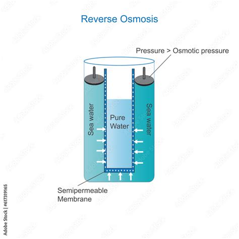 Reverse osmosis is a water purification process that removes impurities by applying pressure to ...