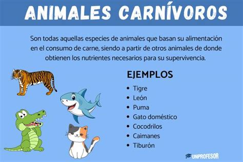 50 ejemplos de animales CARNÍVOROS y sus características