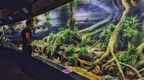 MONSTER Planted Aquascape in German Zoo - Full Tour - YouTube