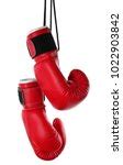 Image of Pair of Red and White Boxing Gloves on Fuchsia | Freebie.Photography