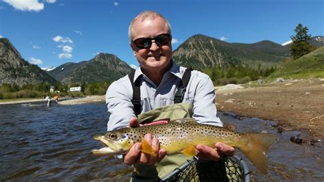 Client holding brown trout on a lake dillon guided fly fishing trip ...