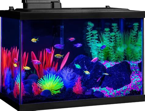 Best Glofish Tanks Reviews: 5, 10, 15, 20 Gallon Aquarium/Tanks