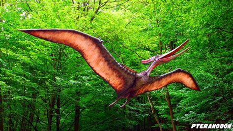 Flying Dinosaurs | Pterosaurs Vs. Dinosaurs | Pteranodon & More