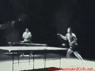 Ping Pong GIF - Find & Share on GIPHY