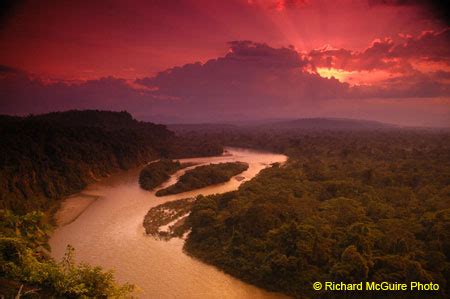 tena, ecuador - Google Search in 2020 | Ecuador, Beautiful places on earth, American travel