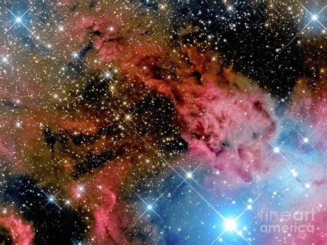 Fox Fur Nebula Photograph by Jim DeLillo