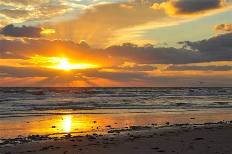 Florida Beach Scenic Sunrise | Sunrise pictures, Sunrise florida ...