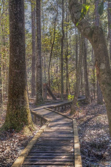 Paul B Johnson State Park, a Mississippi park located near Hattiesburg, Petal and Purvis