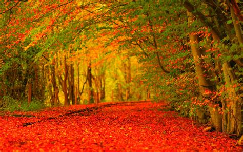 Autumn 2021 Wallpapers - Wallpaper Cave