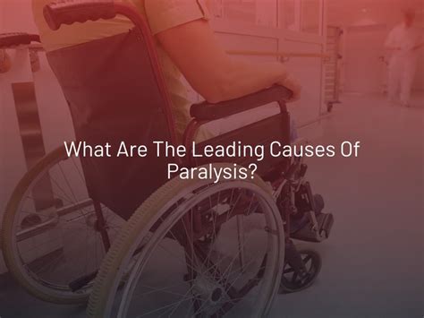 What Are the Leading Causes of Paralysis?