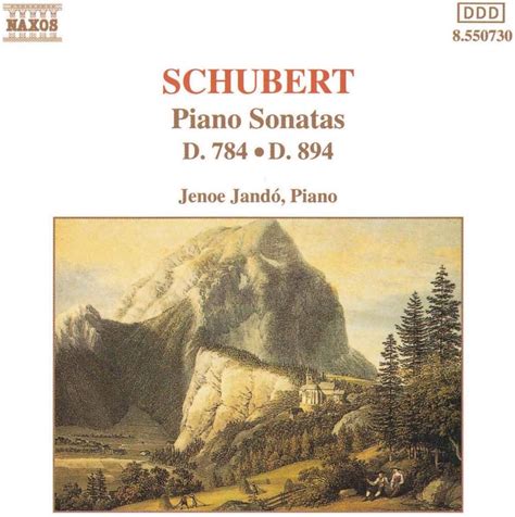 Schubert: Piano Sonatas D. 784 & D. 894 - Amazon.co.uk