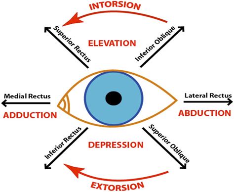 EYE DIAGNOSIS A