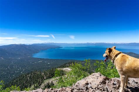 Where to Find the Most Scenic Lake Tahoe Views | Local Travel Guide