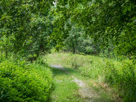 Lois Y Green Conservation Park - Montgomery Parks