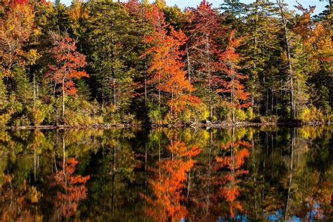 Fall Foliage Map 2018: When Autumn Leaves Peak In Rhode Island ...