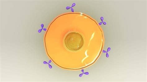 Foresight Diagnostics’ ctDNA Liquid Biopsy Platform Streamlines Treatment of B-Cell Lymphoma ...