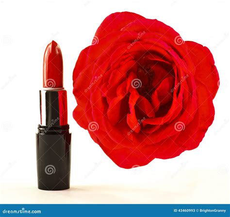 Red lipstick and rose stock image. Image of petals, cosmetic - 43460993