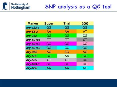 PPT - Use of SNP-DNA analysis in authenticating Basmati rice PowerPoint ...