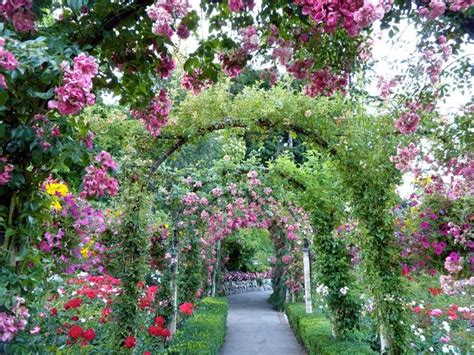 rose rampicanti Garden Retaining Wall, Diy Garden Fence, Front Yard Garden, Garden Arch ...
