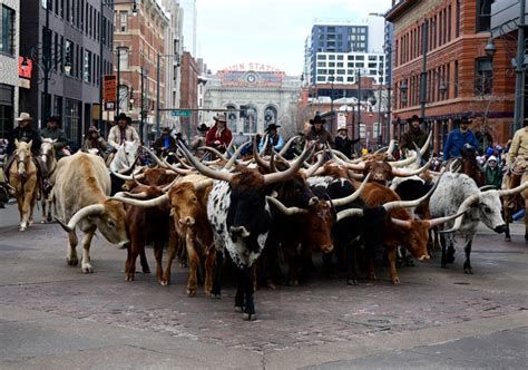 Photos: National Western Stock Show Parade 2023 in downtown Denver