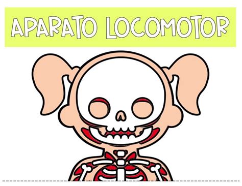 Pin de Karli en Exploración | Cuerpo humano para niños, Aparatos del cuerpo humano, Sistemas del ...