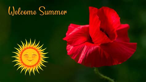 Summer Solstice - Discover Guilford