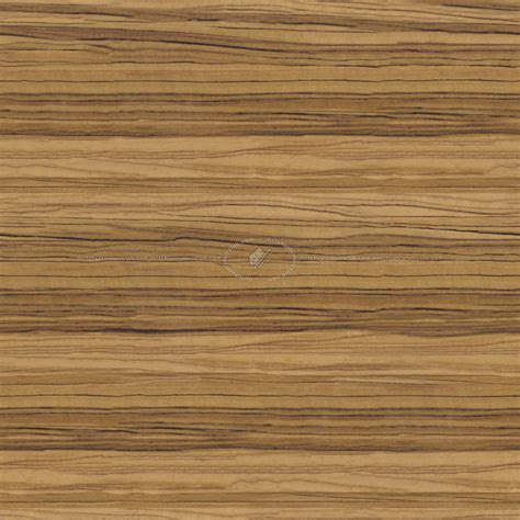 Olive wood fine medium color texture seamless 04430